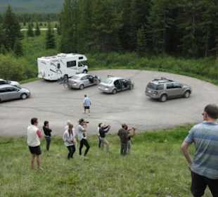 Menschenauflauf am Moose Meadow: ein Grizzly!