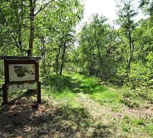 Eindrücke vom Moorpfad in Tarmstedt