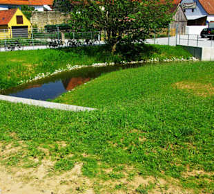 Rückblick zum Fußweg