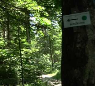 Ruine Hohenmelchingen