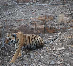Das war wirklich ca. 3m Entfernung!