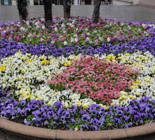 Kurpromenade im Frühling