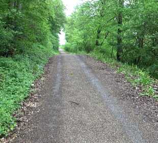 Ruine Burg Kaltenburg