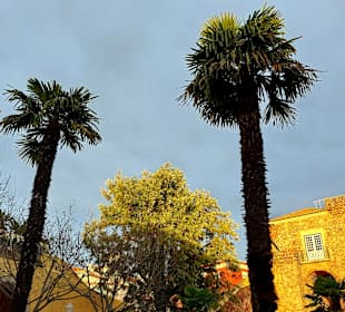 Stadtrundgang Silves