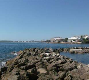 Blick vom Naturstaudamrn