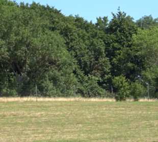Tour entlang der Traifelbergfelsen