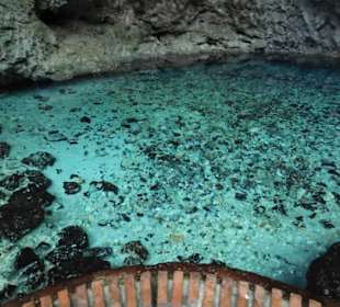 Ausflug zum National Park Los Tres Ojos mit Andy