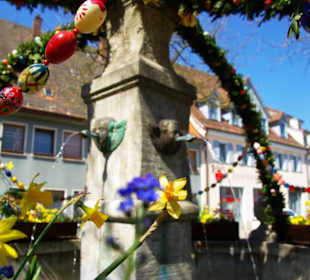 Bis ins Detail Osterbrunnen Gräfenberg