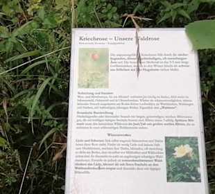 Schaugarten Eninger Weide