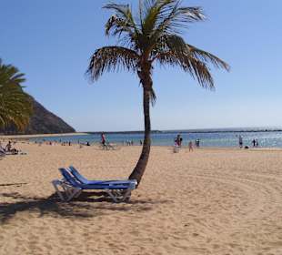 Santa cruz de Tenerife - Hauptstadt! 