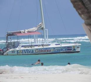 Viva Colonia Tropical