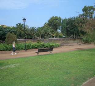 Taoro Park nach Umbau