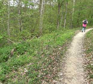 Wandertour durchs Reissenbachtal Oberhausen