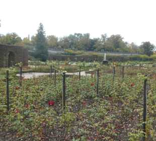 Herbst-Spaziergang im Würzburger Residenzgarten