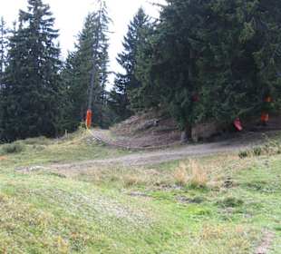 Mountainbike Downhillstrecke