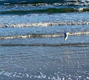 Strand Binz auf Rügen