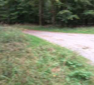 Altwege Rundwanderung Bebenhausen