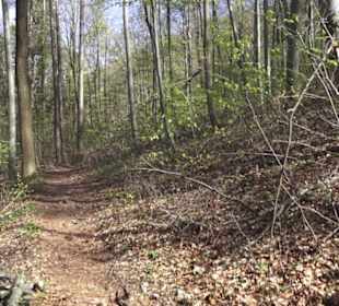 Wanderweg Hochgehkämpft