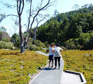 Cradle Mountain-Lake St.Clair NP - Enchanted Walk
