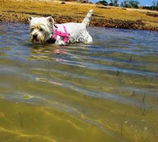 Sehr gute Auslaufmöglichkeiten