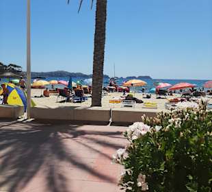 Strand Paguera/Peguera