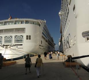 Jede Menge Schiffe in Cozumel