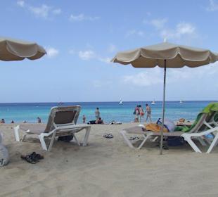 Der Strand einfach Super