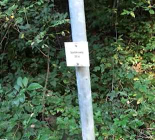 Wanderung Kirnberg-Runde Bebenhausen