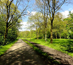 Weg und Reitpfad im Bremer Stadtwald