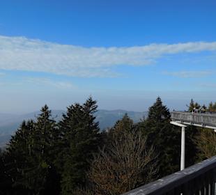 Der Ausblick vom Waldwipfelpfad