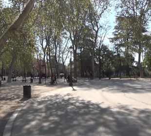 Fuente de los Galápagos