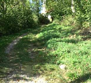Bussen Schöpfungsweg Offingen