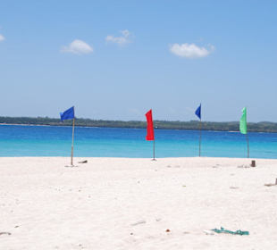 Paradise Island