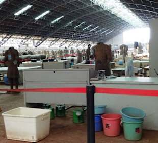 Terracotta Warriors, Xian