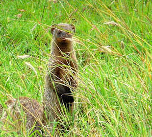 Was macht ihr denn da!