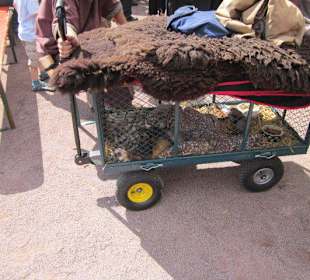 Mittelalterliches Spectaculum 