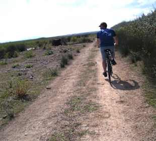 Fahrradtour durch die Albufera