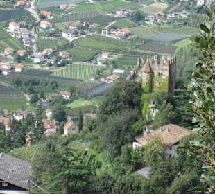 Ausblick auf die Brunnenburg und Algund