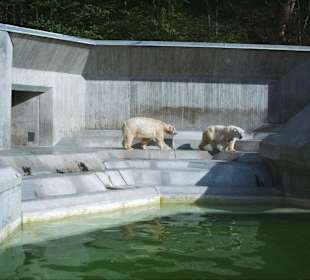 Tierpark Hellabrunn