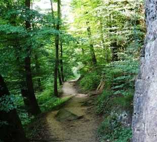 Wanderung durch die Kleine Luxemburger Schweiz