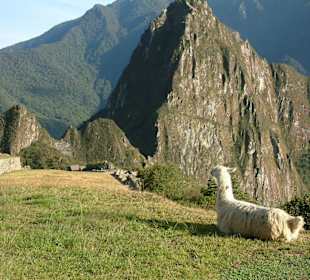 Machu Picchu
