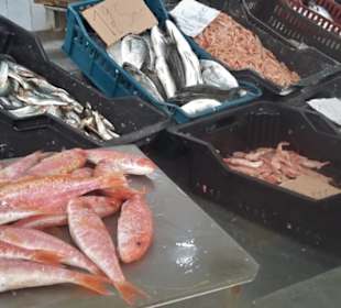 Fischmarkt Mahdia mit großer Vielfalt