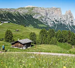 Wandern Schlern