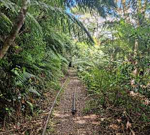 Low-Level Loop Waiorongomai Valley
