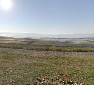 Naturstrand Seewiesen