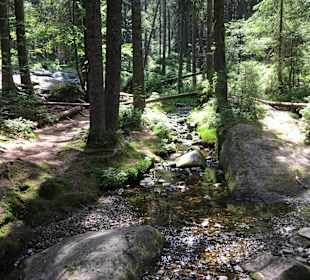 Kleiner Arbersee