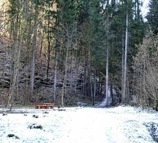 Waldlichtung im oberen Bärental