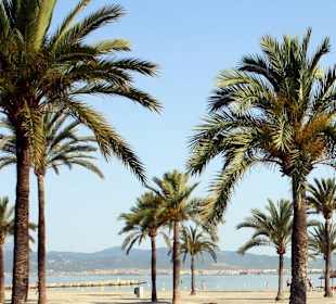 Strand El Arenal/S'Arenal