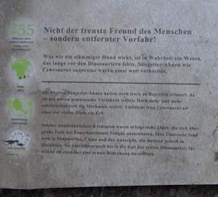 Dinosaurier Museum Altmühltal