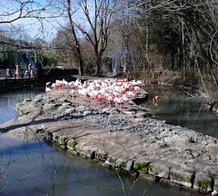 Tierpark Hellabrunn in München
